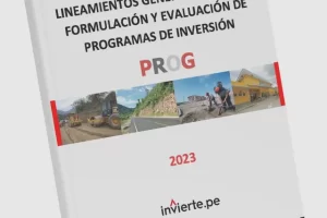 Lineamientos generales para la formulación y evaluación de Programas de Inversión – PROG